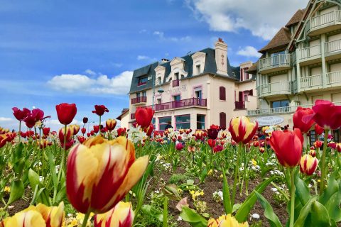 Hotel Outre-Mer (Villa Le Couchant) - Vue de l'extérieur au Printemps