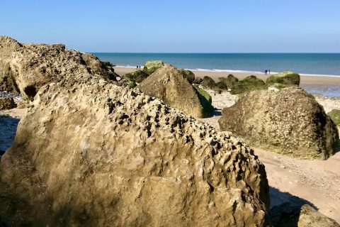 Les falaises des Vaches Noires : un trésor paléontologique à Villers-sur-Mer en Normandie.